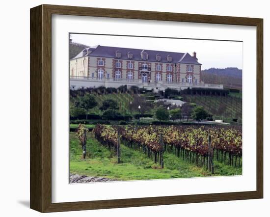Chardonnay and Pinot Noir Grape Vineyards-Eric Risberg-Framed Premium Photographic Print