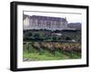 Chardonnay and Pinot Noir Grape Vineyards-Eric Risberg-Framed Premium Photographic Print