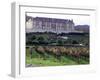 Chardonnay and Pinot Noir Grape Vineyards-Eric Risberg-Framed Premium Photographic Print