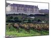 Chardonnay and Pinot Noir Grape Vineyards-Eric Risberg-Mounted Premium Photographic Print
