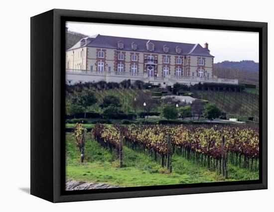 Chardonnay and Pinot Noir Grape Vineyards-Eric Risberg-Framed Stretched Canvas