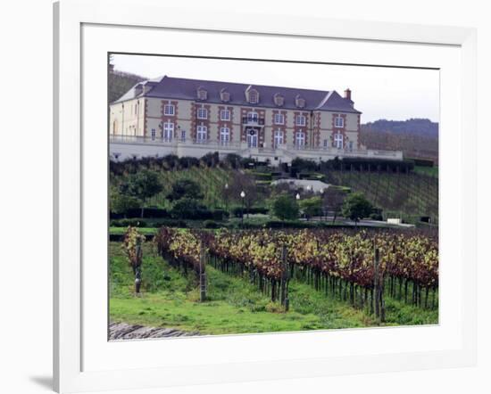 Chardonnay and Pinot Noir Grape Vineyards-Eric Risberg-Framed Photographic Print