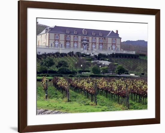 Chardonnay and Pinot Noir Grape Vineyards-Eric Risberg-Framed Photographic Print