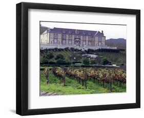 Chardonnay and Pinot Noir Grape Vineyards-Eric Risberg-Framed Photographic Print