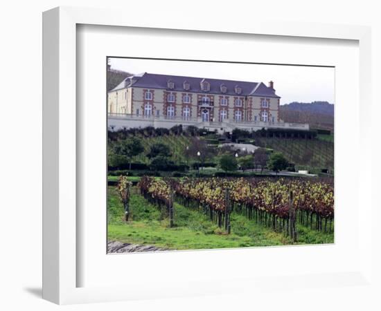 Chardonnay and Pinot Noir Grape Vineyards-Eric Risberg-Framed Photographic Print