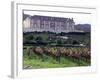 Chardonnay and Pinot Noir Grape Vineyards-Eric Risberg-Framed Photographic Print