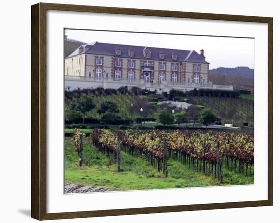 Chardonnay and Pinot Noir Grape Vineyards-Eric Risberg-Framed Photographic Print