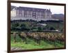 Chardonnay and Pinot Noir Grape Vineyards-Eric Risberg-Framed Photographic Print