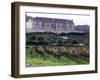 Chardonnay and Pinot Noir Grape Vineyards-Eric Risberg-Framed Photographic Print