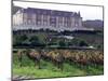 Chardonnay and Pinot Noir Grape Vineyards-Eric Risberg-Mounted Photographic Print