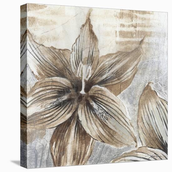 Chardonnay Botanicals I-Liz Jardine-Stretched Canvas