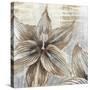 Chardonnay Botanicals I-Liz Jardine-Stretched Canvas