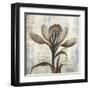 Chardonnay Botanicals II-Liz Jardine-Framed Art Print