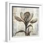 Chardonnay Botanicals II-Liz Jardine-Framed Art Print