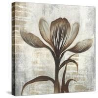 Chardonnay Botanicals II-Liz Jardine-Stretched Canvas