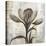 Chardonnay Botanicals II-Liz Jardine-Stretched Canvas