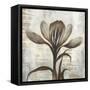 Chardonnay Botanicals II-Liz Jardine-Framed Stretched Canvas