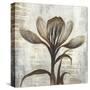 Chardonnay Botanicals II-Liz Jardine-Stretched Canvas