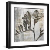 Chardonnay Botanicals VIII-Liz Jardine-Framed Art Print