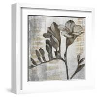 Chardonnay Botanicals VIII-Liz Jardine-Framed Art Print