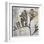 Chardonnay Botanicals VIII-Liz Jardine-Framed Art Print