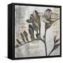 Chardonnay Botanicals VIII-Liz Jardine-Framed Stretched Canvas