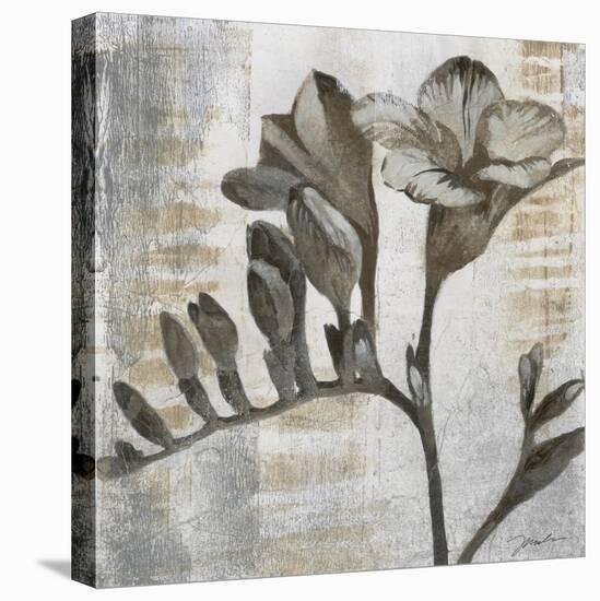 Chardonnay Botanicals VIII-Liz Jardine-Stretched Canvas