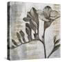 Chardonnay Botanicals VIII-Liz Jardine-Stretched Canvas