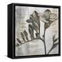 Chardonnay Botanicals VIII-Liz Jardine-Framed Stretched Canvas