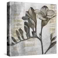 Chardonnay Botanicals VIII-Liz Jardine-Stretched Canvas