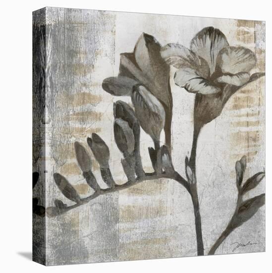 Chardonnay Botanicals VIII-Liz Jardine-Stretched Canvas