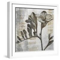 Chardonnay Botanicals VIII-Liz Jardine-Framed Art Print