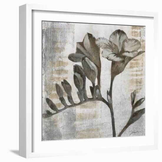 Chardonnay Botanicals VIII-Liz Jardine-Framed Art Print