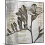 Chardonnay Botanicals VIII-Liz Jardine-Mounted Art Print