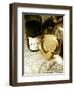 Chardonnay-Steve Ash-Framed Giclee Print