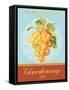 Chardonnay-Pamela Gladding-Framed Stretched Canvas