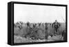 Charge by a Regiment of French Zouaves on the Plateau of Touvent, Artois, France, 7 June 1915-null-Framed Stretched Canvas