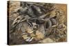 Charge Lancers - Cavalry Charge (Carica Di Lancieri - Carica Di Cavalleria)-Umberto Boccioni-Stretched Canvas