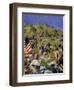 Charge of the Rough Riders at San Juan Hill in 1898, C. 1900-Vasili Vasilyevich Vereshchagin-Framed Giclee Print