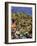 Charge of the Rough Riders At San Juan Hill in 1898-null-Framed Giclee Print