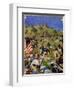 Charge of the Rough Riders At San Juan Hill in 1898-null-Framed Premium Giclee Print