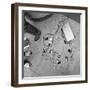 Charge Party-Evan Morris Cohen-Framed Photographic Print