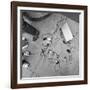 Charge Party-Evan Morris Cohen-Framed Photographic Print