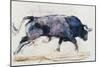 Charging Bull, 1998-Mark Adlington-Mounted Giclee Print