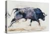 Charging Bull, 1998-Mark Adlington-Stretched Canvas