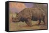 Charging Indian Rhinoceros-null-Framed Stretched Canvas