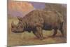 Charging Indian Rhinoceros-null-Mounted Art Print