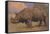 Charging Indian Rhinoceros-null-Framed Stretched Canvas