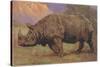 Charging Indian Rhinoceros-null-Stretched Canvas