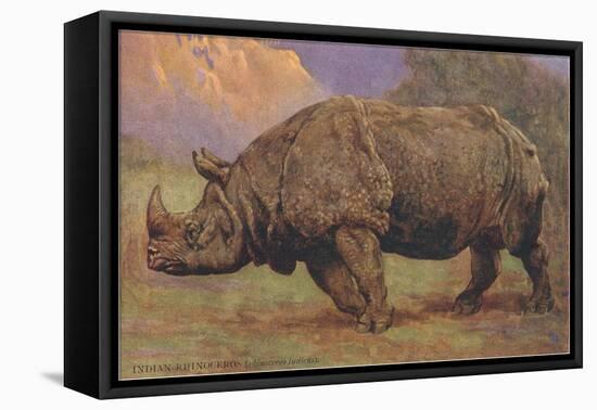 Charging Indian Rhinoceros-null-Framed Stretched Canvas